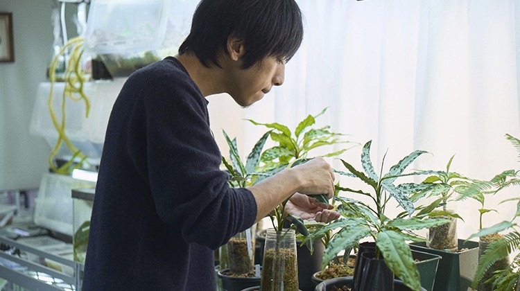 クレイジージャーニー出演 植物探検家 長谷圭祐を魅了する ジメジメ系植物 の世界 Kindai Picks