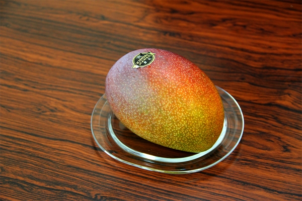 1個1万円のマンゴー
