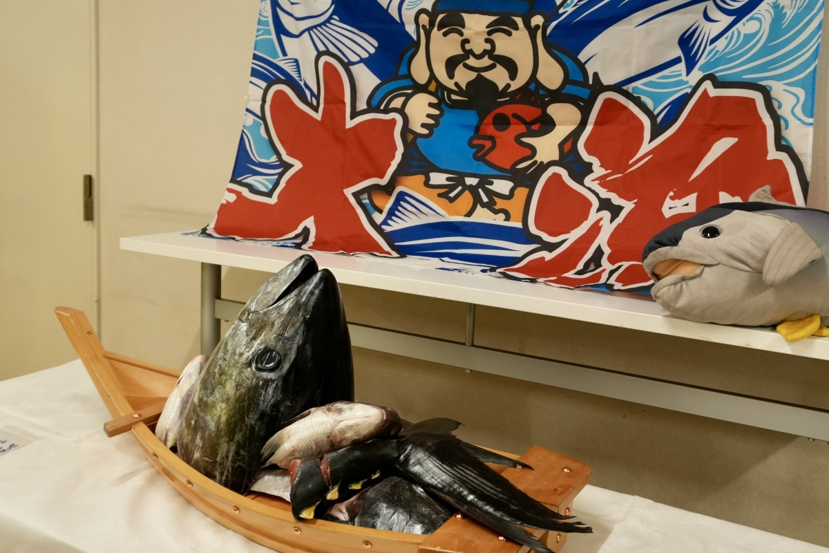 マグロ見本